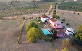 Casa Das Jardas